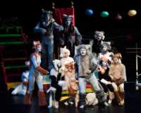 cats09178_small.jpg
