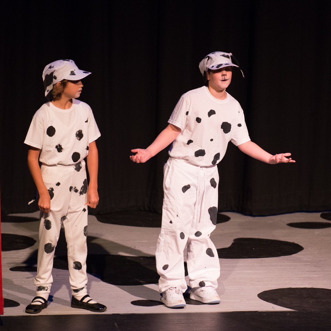 dalmatians130805198.jpg