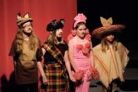dalmatians13080715_small.jpg