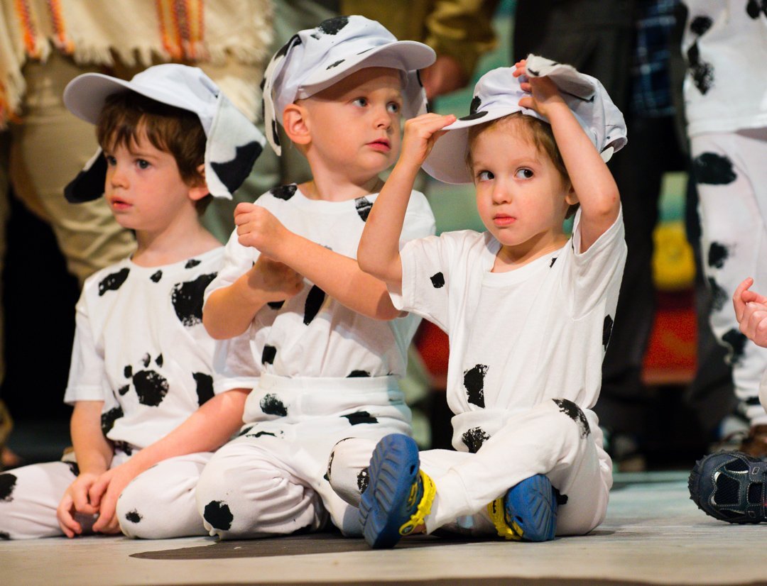 dalmatians130804977.jpg