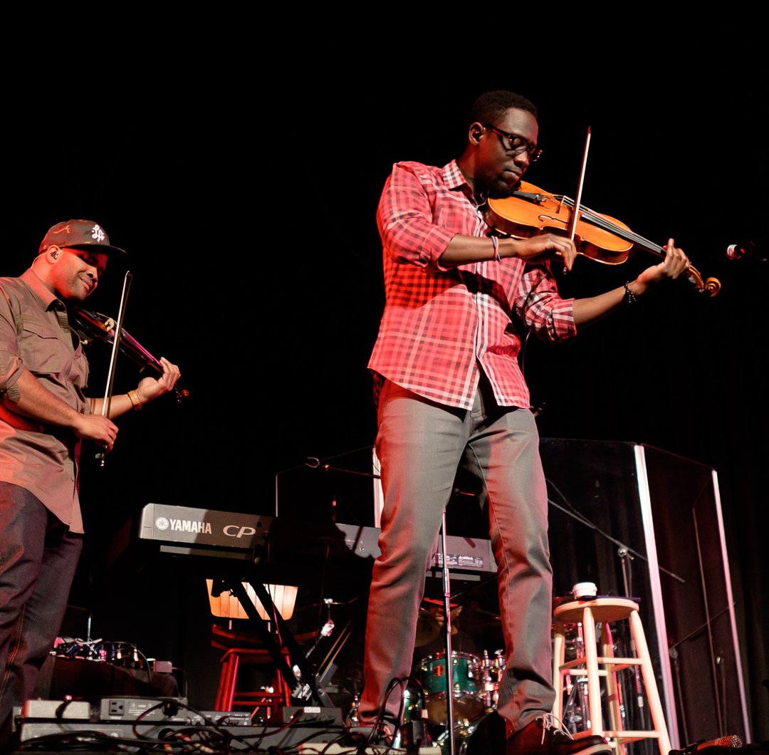 blackviolin16043334.jpg