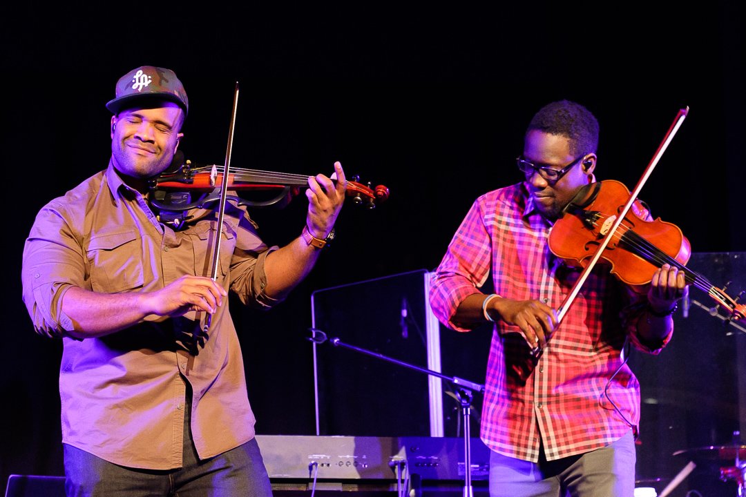 blackviolin16044010.jpg