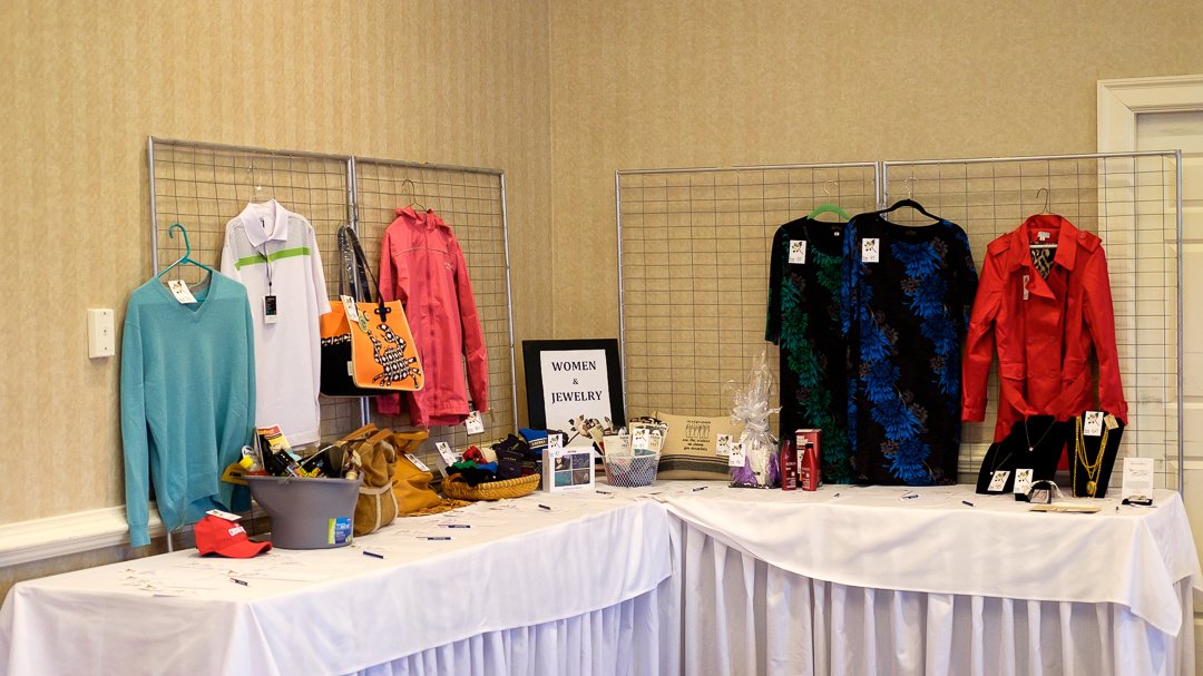 artsball16021062.jpg