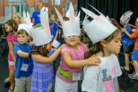 artsalive16069036_small.jpg