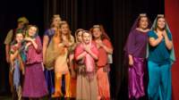 aladdin17061614_small.jpg