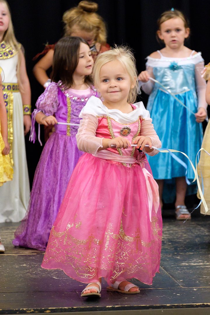 princess17070487.jpg