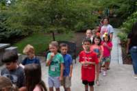artsalive1806266254_small.jpg