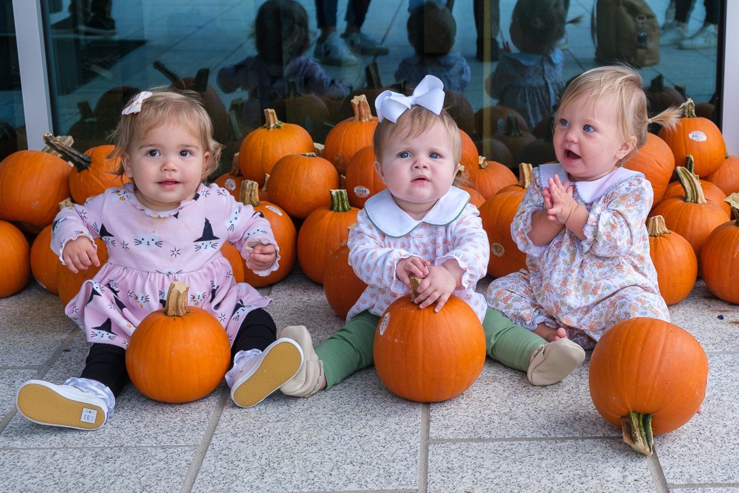 pumpkinworkshop231051.jpg