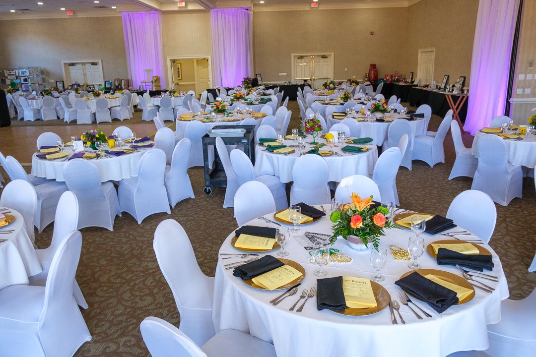 artsball240252of201.jpg