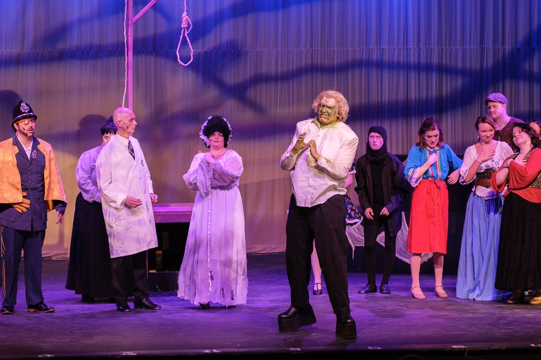 youngfrankenstein2410112.jpg