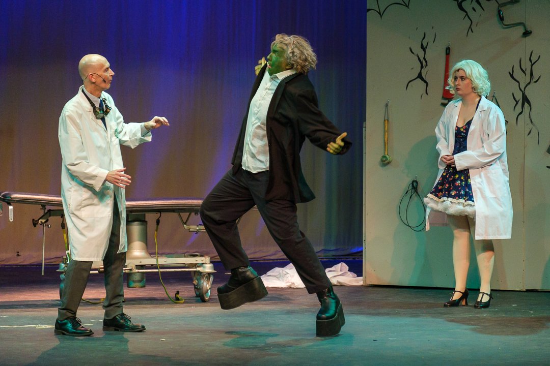 youngfrankenstein241054.jpg