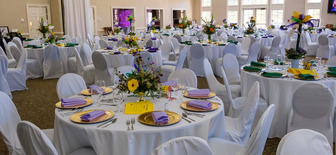 artsball250216.jpg