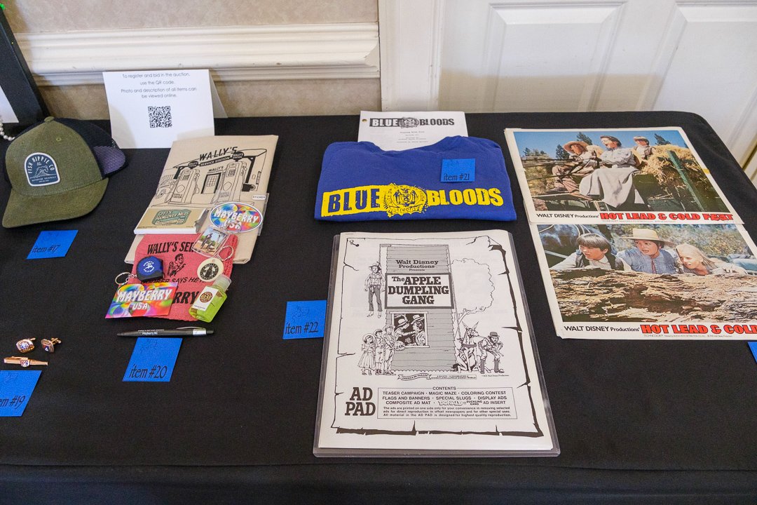 artsballauction250411.jpg