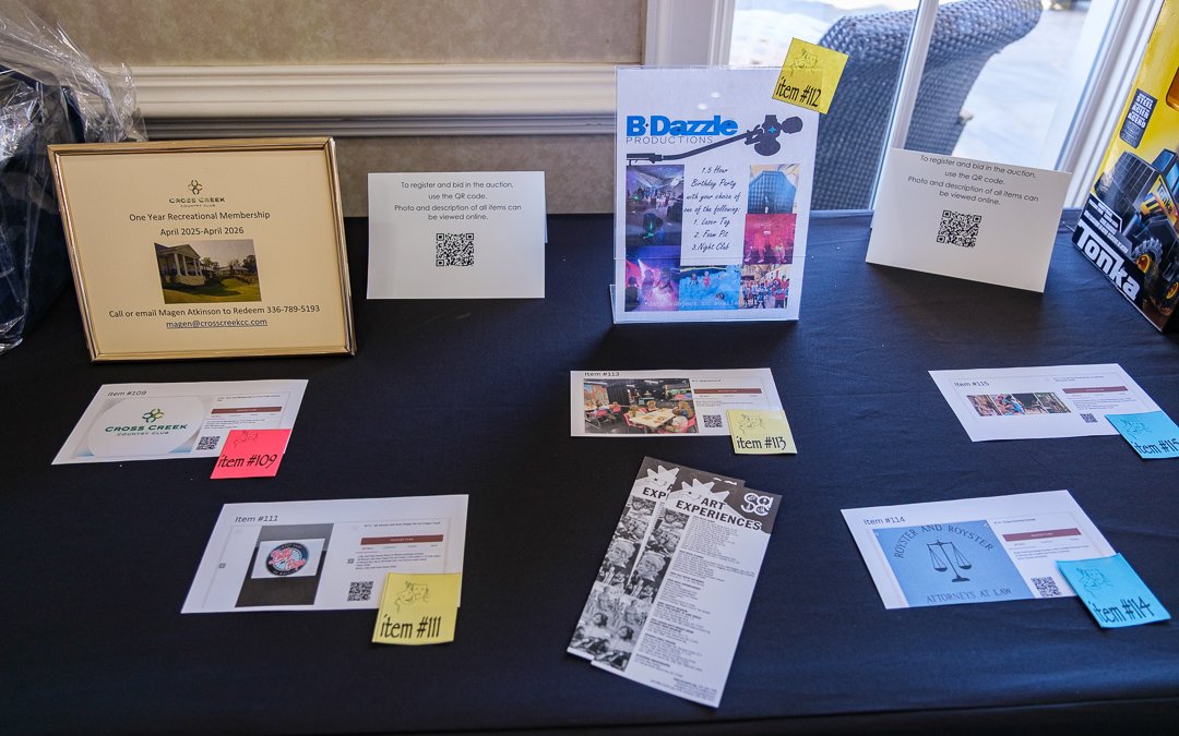 artsballauction250432.jpg
