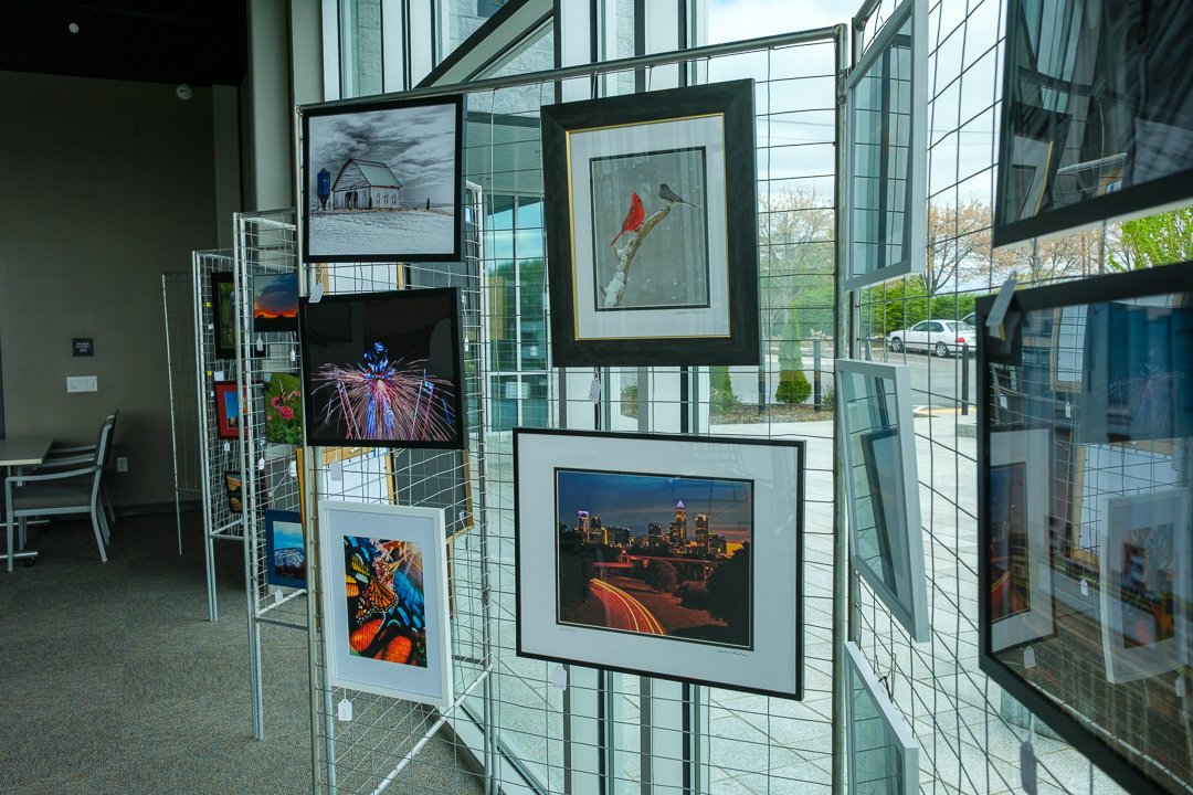 benitavanwinkleandphotocontest25041390.jpg