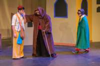 disneysaladdinjr250239_small.jpg