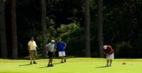 golf7177_small.jpg