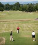 golf12092670_small.jpg