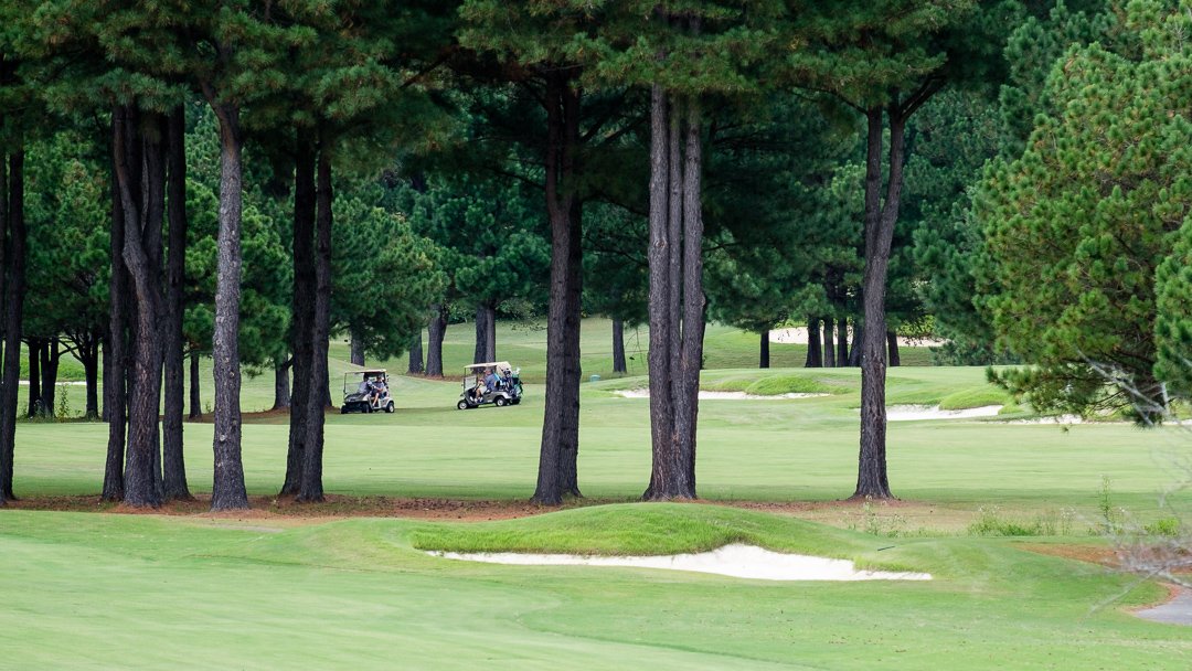 golf16099610.jpg