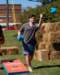 cornhay16092875_small.jpg