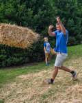 haybale200911_small.jpg