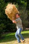 haybale20093_small.jpg