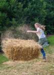 haybale20099_small.jpg