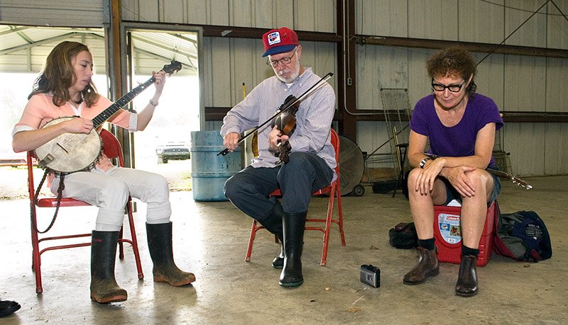 fiddle03837.jpg