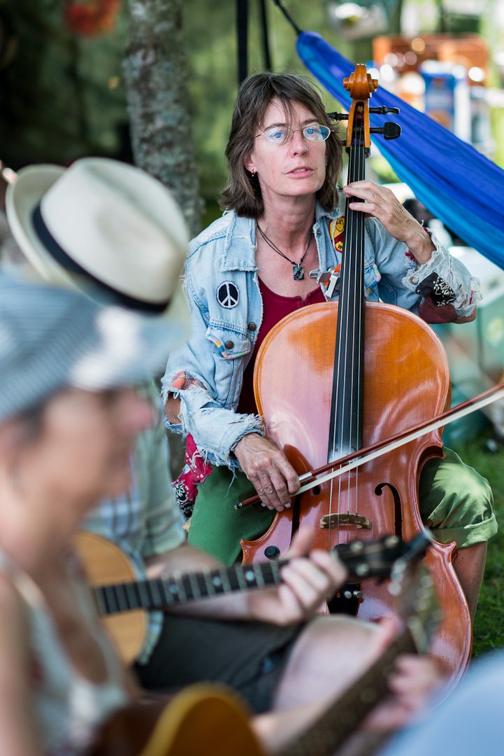 fiddle12060421.jpg
