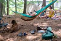 fiddlersconv15060815_small.jpg