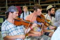 fiddle17065374_small.jpg