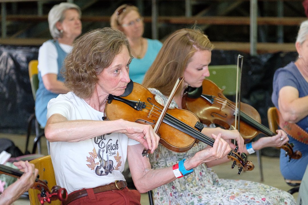 fiddle17065458.jpg
