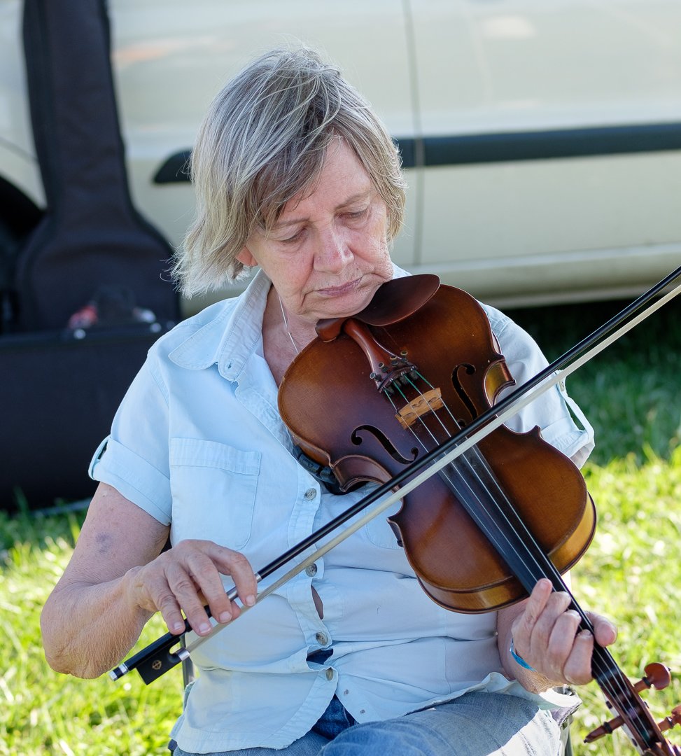 fiddle17065642.jpg