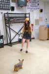 fiddleworkshops220651_small.jpg